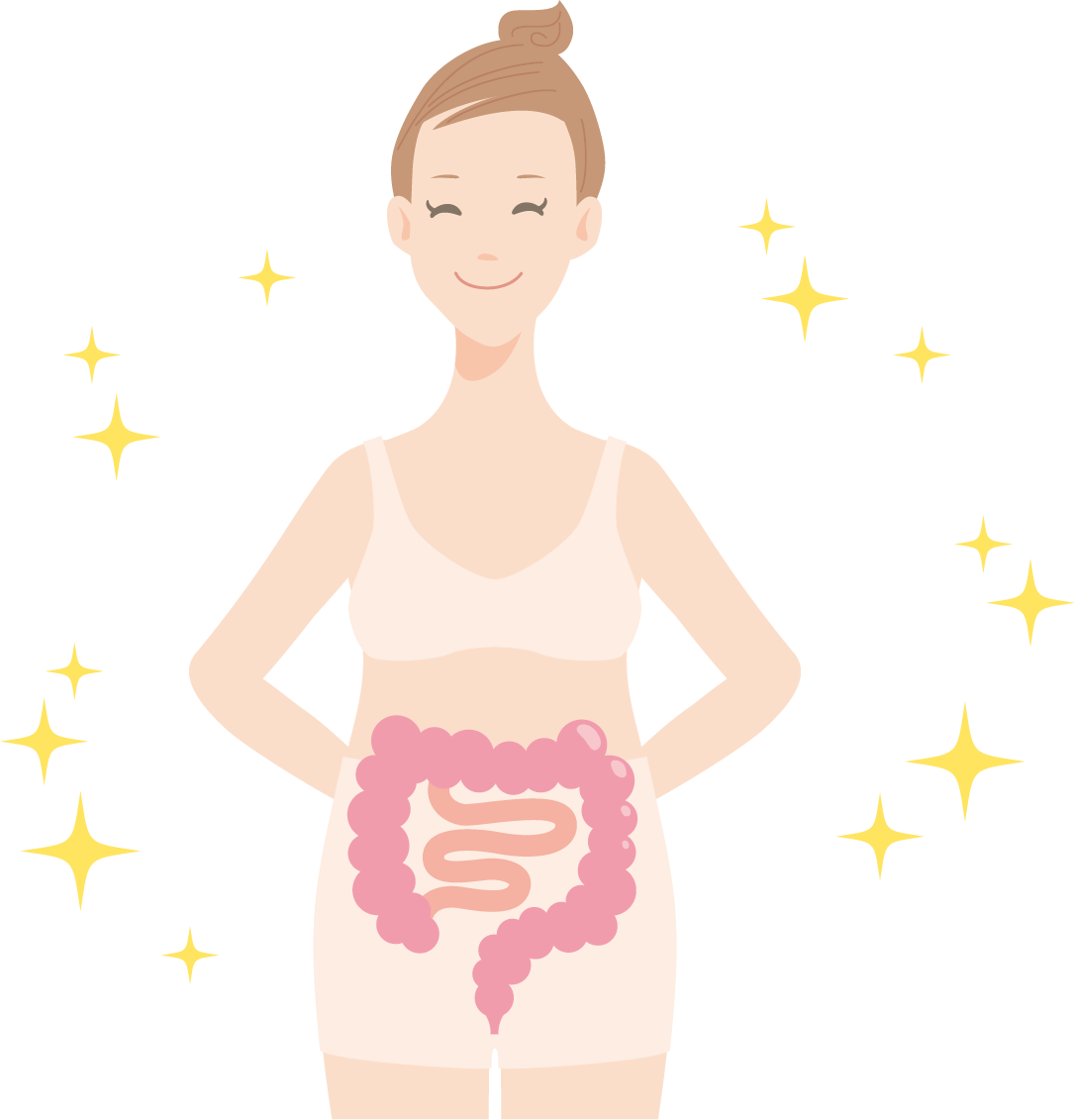 免疫細胞の70%が集まる「小腸」を整えて、風邪を引かない強い体へ。季節の変わり目に弱い主婦が辿り着いた、シンバイオティクスの秘訣と小腸ケアの習慣を解説。楽天で人気のラブレ菌や難消化性デキストリンを活用した、具体的な免疫力アップ術を網羅。