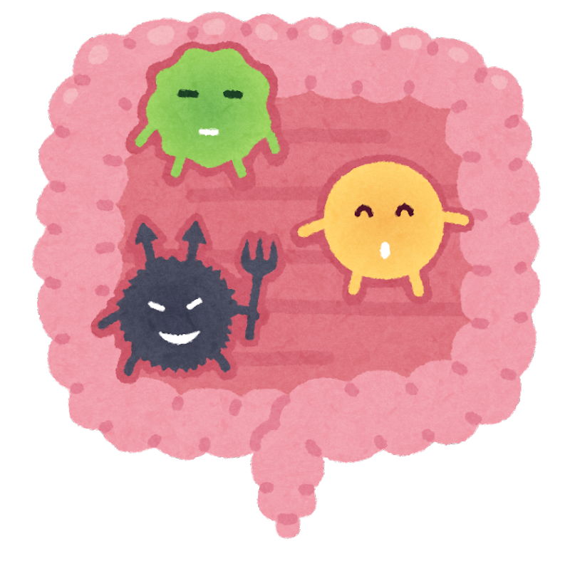 胃・小腸・細胞・メンタル・排泄のすべてを網羅！全5回の胃腸活シリーズをギュッと凝縮した完全保存版ガイド。40代主婦が実践して効果を感じた「41度入浴法」や「ピロリ菌対策」など、薬に頼らず一生健康でいるための5ステップを詳しく解説します。