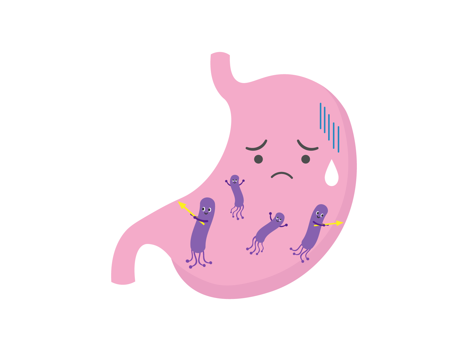 年のせいと諦めていた胃もたれ、実は胃の中に潜む「ピロリ菌」のSOSかも？胃がんリスクを回避するために40代主婦が始めた、胃をいたわる新習慣。LG21での菌活、食後15分の黄金ルール、咀嚼回数を劇的に増やす乾燥野菜活用術まで、一生美味しく食べるためのメソッドを網羅した完全保存版。